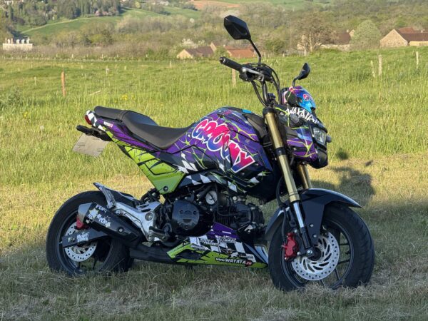 KIT DECO WATATA HONDA 125 MSX GROM 2017-2020